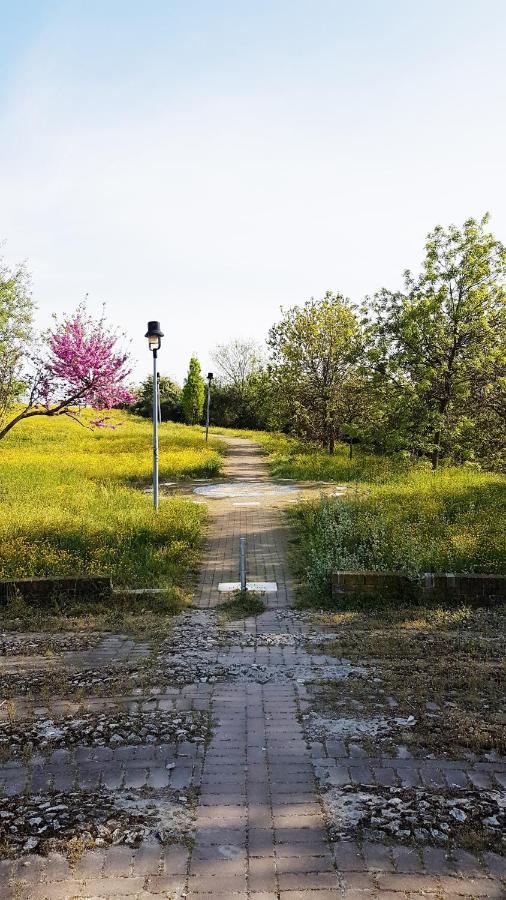 Appartamento CasaRava Sul Parco Riccione Esterno foto